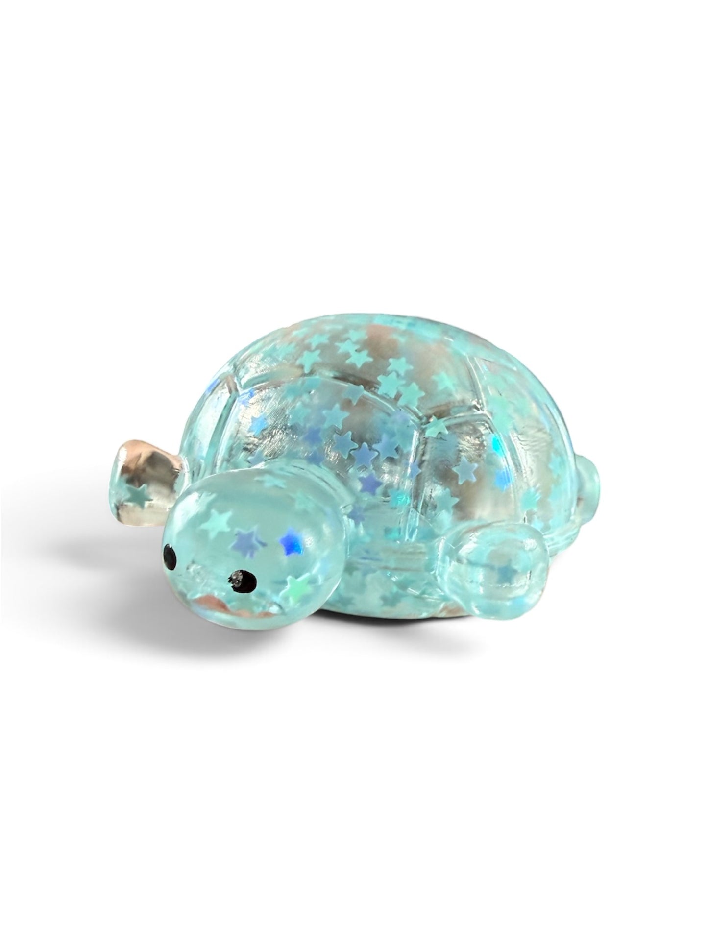 Mystery Squishy Turtle
